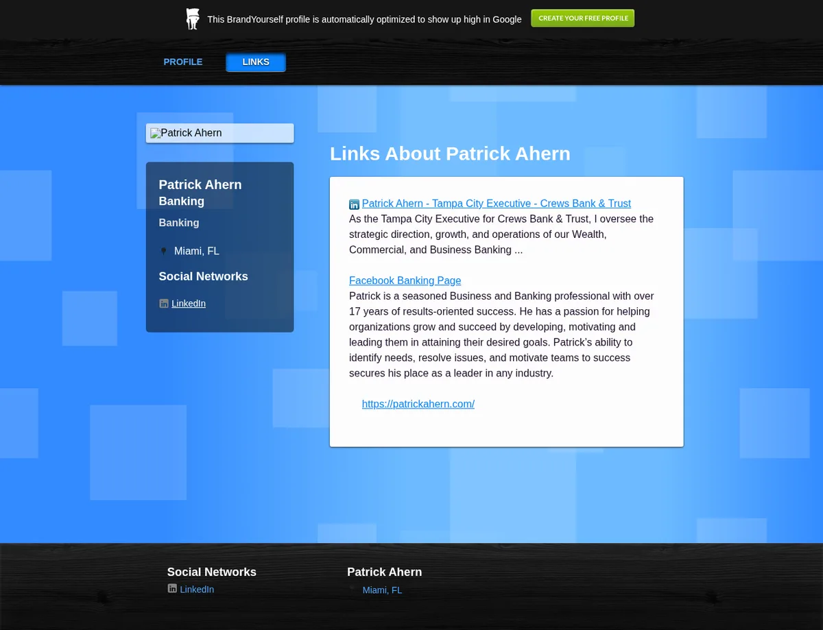 Public BrandYourself Links page showing a personal website alongside professional profile links